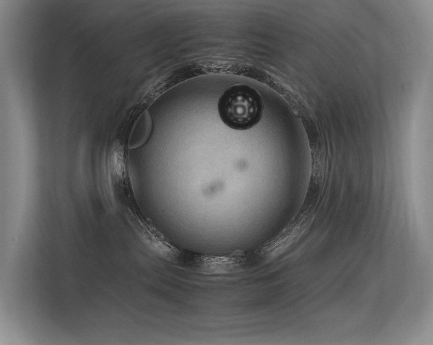 X0000113310287200909141318