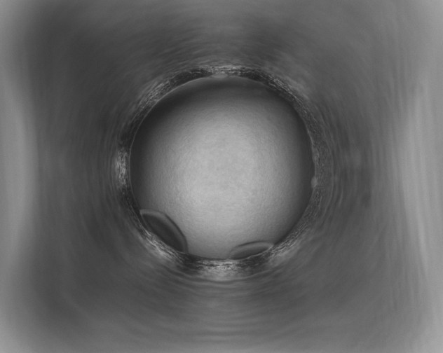 X0000113310288200909141318