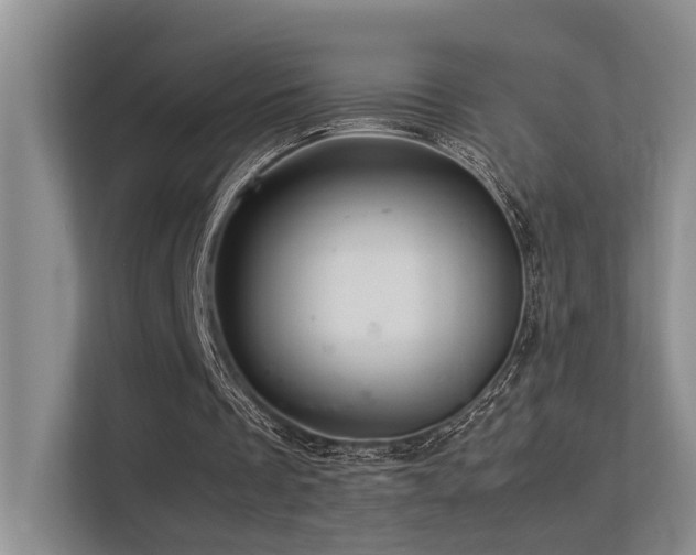 X0000113310289200909141317