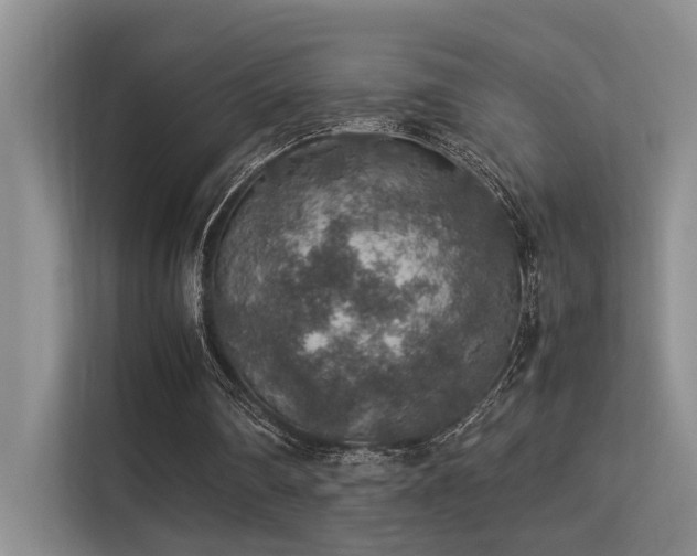 X0000113310290200909141317