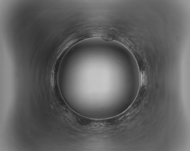 X0000113310291200909141317