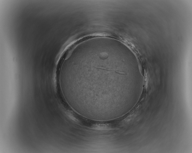 X0000113310296200909141317