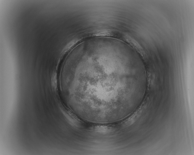 X0000113310298200909141317