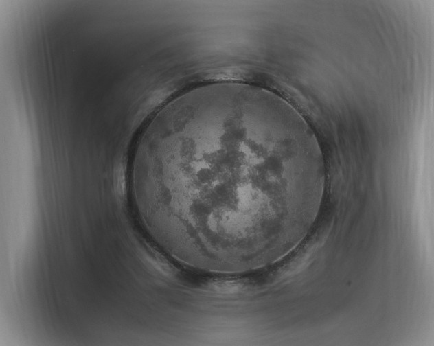 X0000113310299200909141317