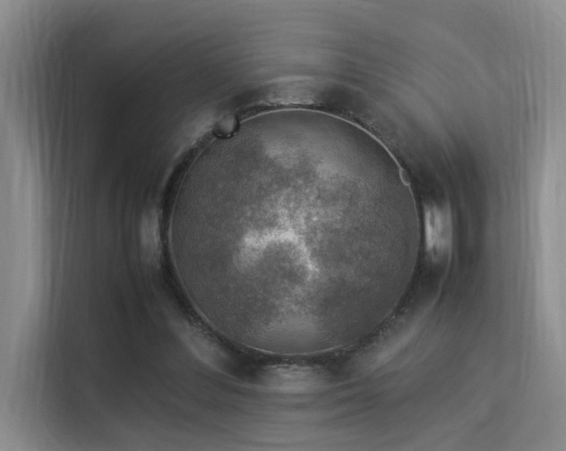 X0000113310300200909141317