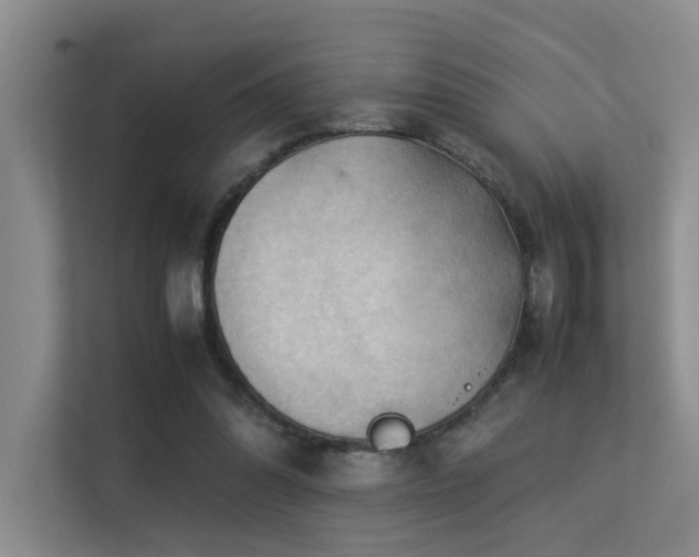 X0000113310302200909141317