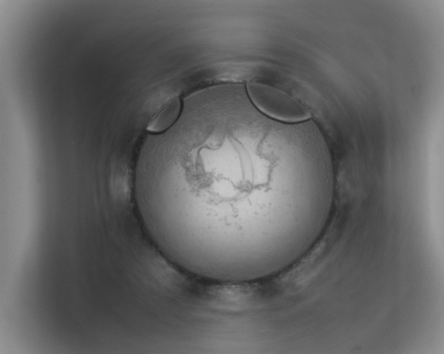 X0000113310305200909141317