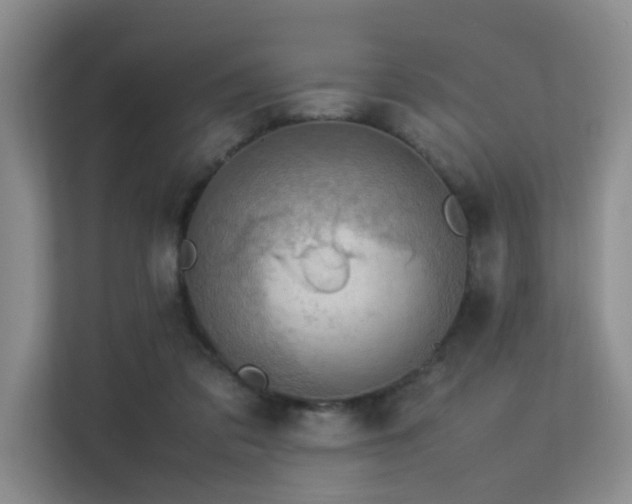 X0000113310309200909141317