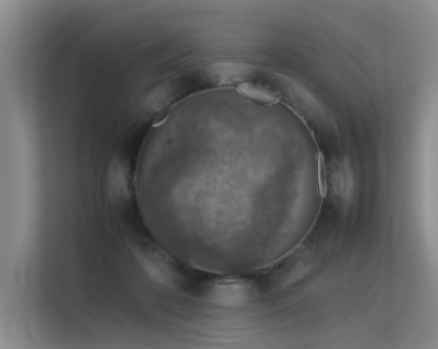 X0000113310316200909141317