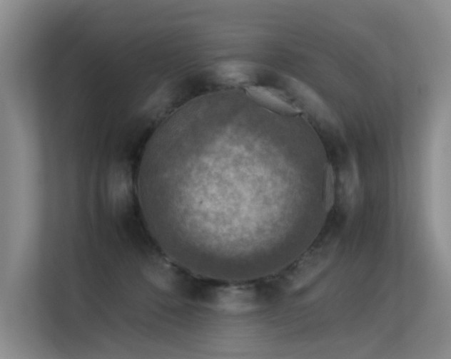 X0000113310320200909141317