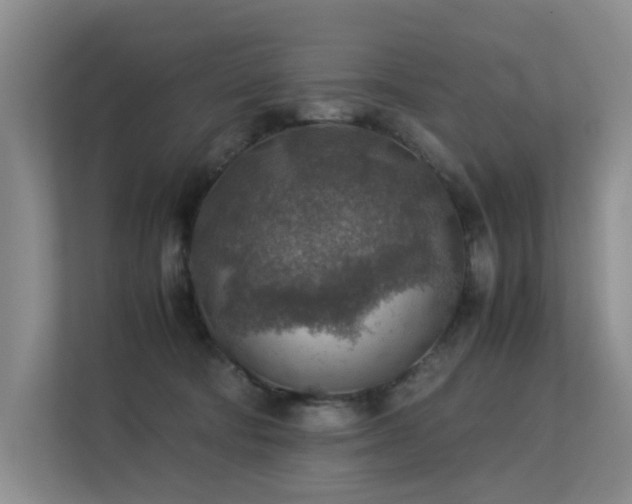 X0000113310322200909141317