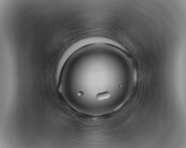 X0000113310324200909141317