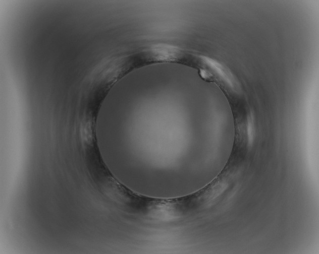 X0000113310325200909141317