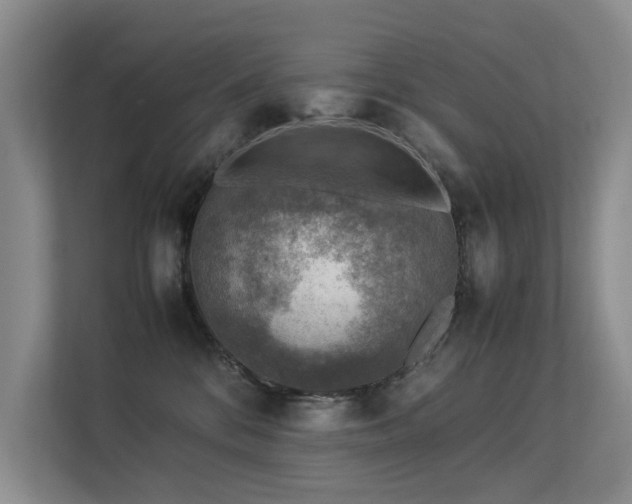 X0000113310328200909141317