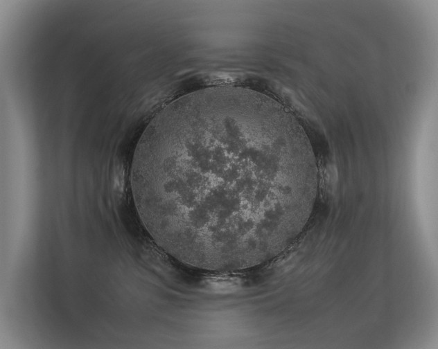 X0000113310331200909141317