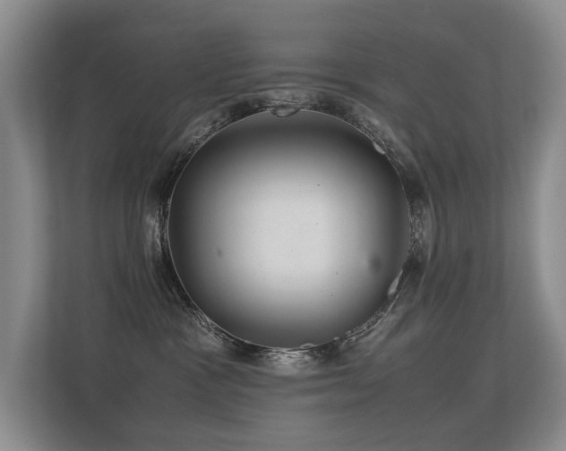 X0000113310333200909141317