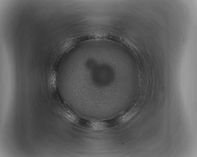 X0000113310336200909141317