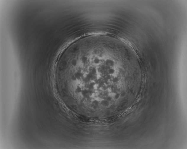 X0000113310337200909141316