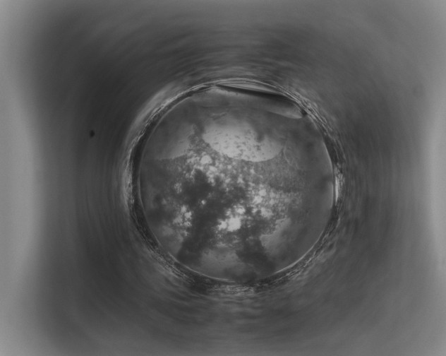 X0000113310339200909141316