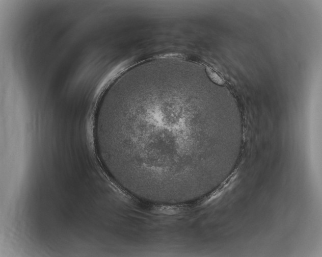 X0000113310341200909141316