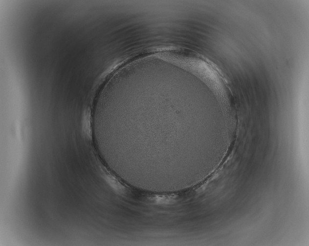 X0000113310345200909141316