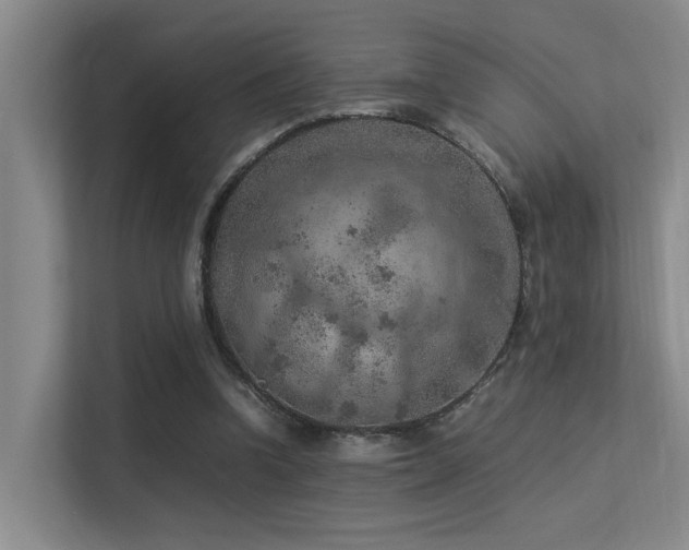 X0000113310346200909141316