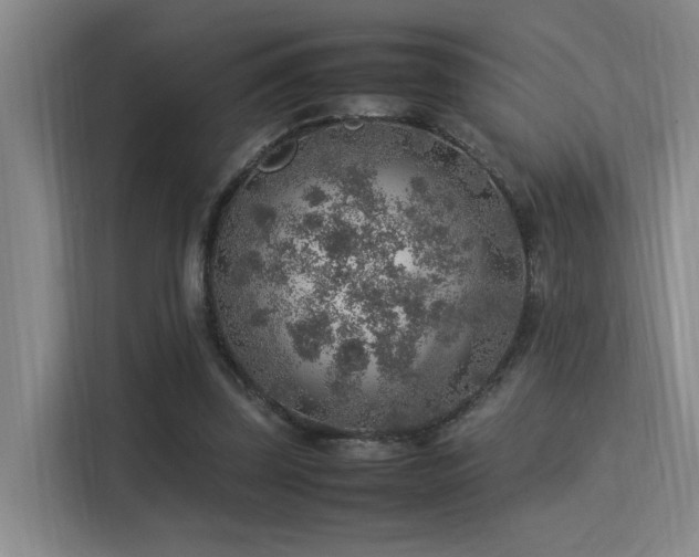 X0000113310347200909141316