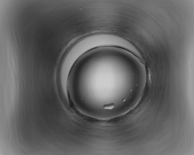 X0000113310348200909141316