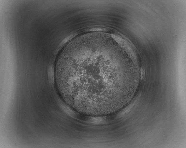 X0000113310349200909141316