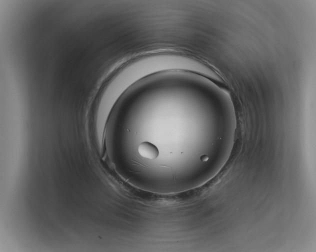 X0000113310350200909141316