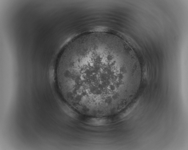 X0000113310351200909141316