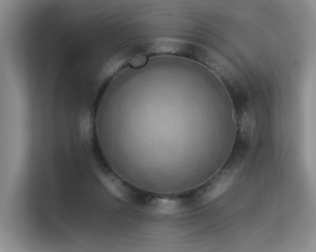 X0000113310352200909141316