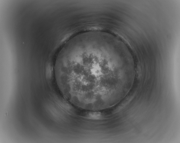 X0000113310355200909141316