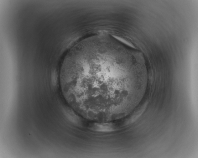 X0000113310359200909141316