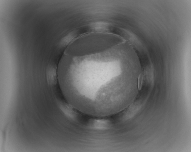 X0000113310360200909141316