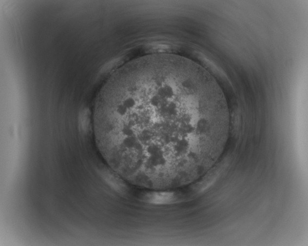 X0000113310361200909141316