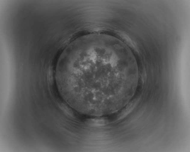 X0000113310366200909141316