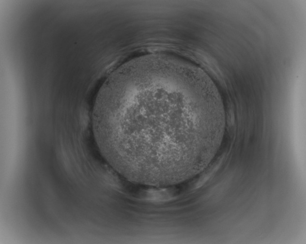 X0000113310367200909141316