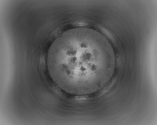 X0000113310373200909141316