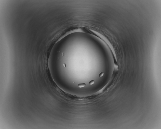 X0000113310376200909141316