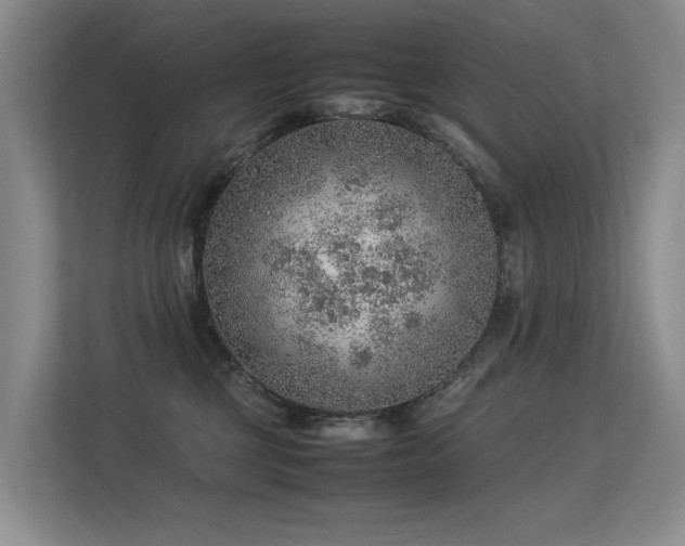 X0000113310377200909141316