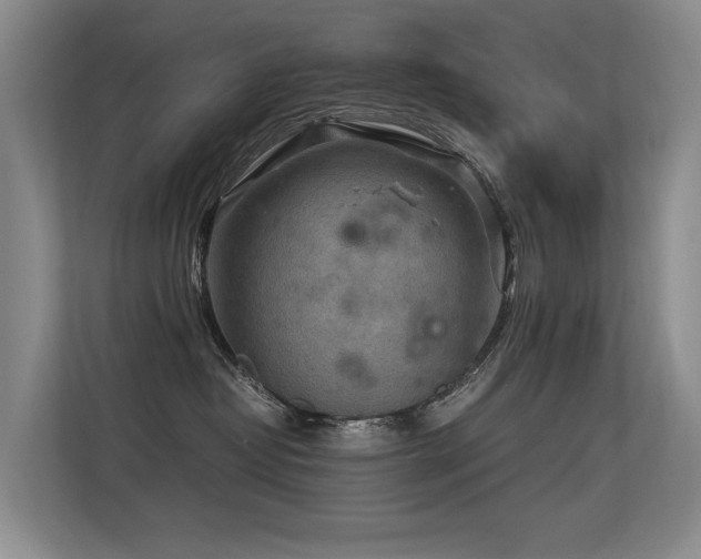 X0000113310382200909141317