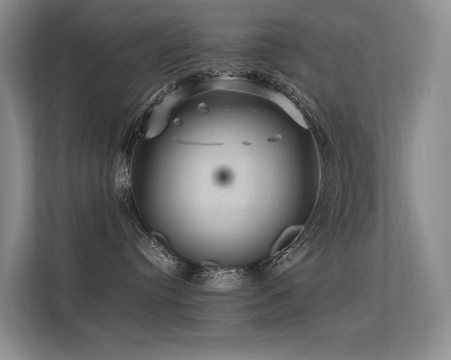 X0000113310384200909141317