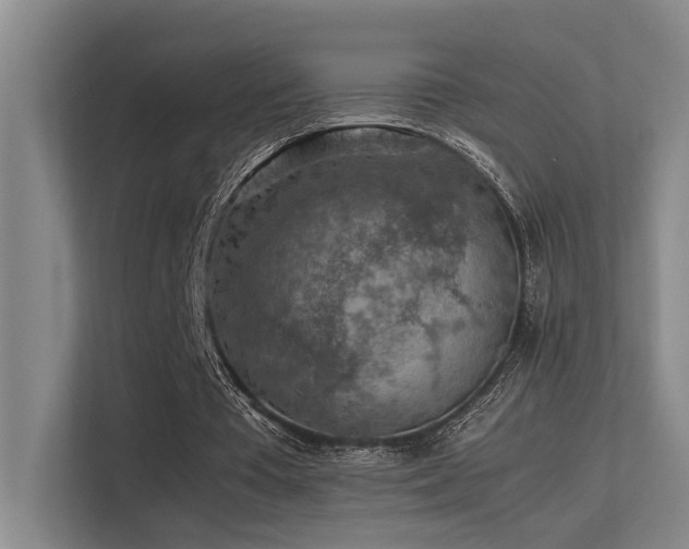 X0000113310385200909141316