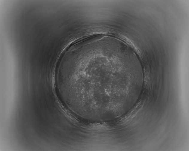 X0000113310386200909141316