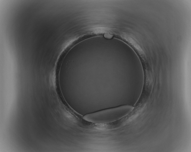 X0000113310391200909141316