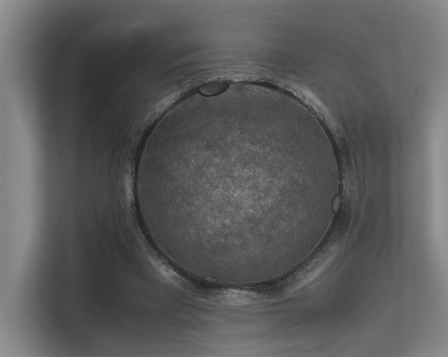 X0000113310393200909141316