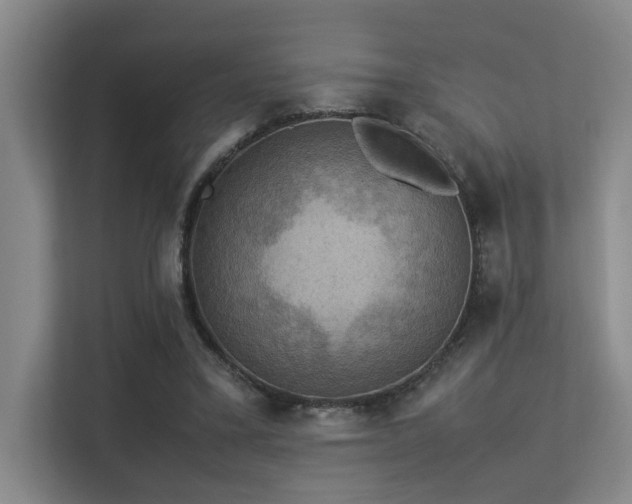 X0000113310395200909141316