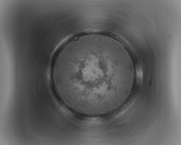 X0000113310396200909141316