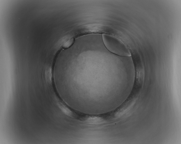 X0000113310397200909141316